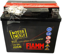 Аккумулятор FIAMM FTZ7S-BS (6 Ah) YTZ7S (7904477)