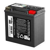 Аккумулятор RDrive OEM YTX14HL (12 Ah) 65958-04B Harley Davidson
