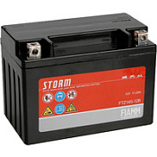 Аккумулятор FIAMM FTZ14S-12B (11 Ah) YTZ14S (7904472)